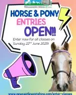 horse & pony496193519_1129496059203008_4699113063418531053_n